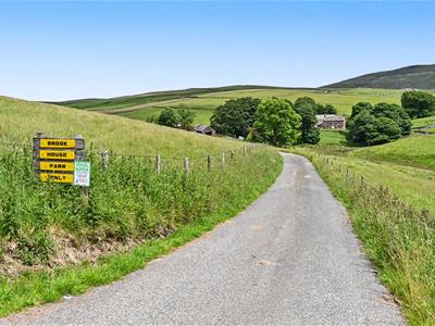 Picture 28